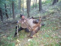 Idaho Bull Elk 2014.jpg