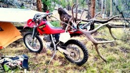 2016bulldirtbike.jpg