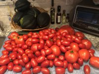 Tomatoe 2.jpg