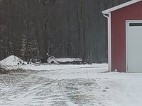 IMG_20220313_113049403.jpg