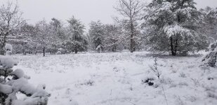 snowy field 2.jpg