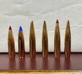 25 caliber bullets.jpg
