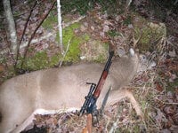 DeerSeason2011006.jpg