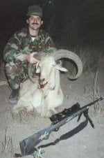 Aoudad.jpg