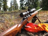 Winchester 70 300 WSM.jpg