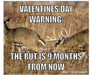 Valentines day warning760_n.jpg