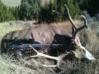 IMG_0005.jpeg