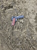 20250427_110418.jpg