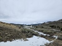20250427_113902.jpg
