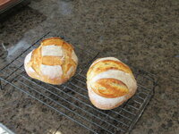 makingBoule3.JPG