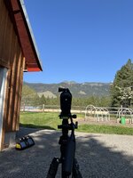 IMG_9567.jpeg