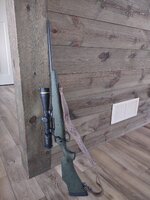 IMG_20250503_101200508.jpg