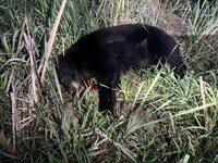 IMG_3261.jpeg