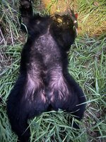 IMG_3262.jpeg