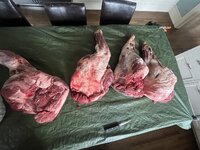 IMG_3007.jpeg