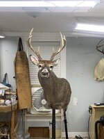 IMG_0931.jpeg