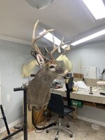 IMG_0929.jpeg
