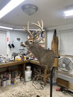 IMG_0930.jpeg