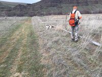 IMG_0862.jpeg