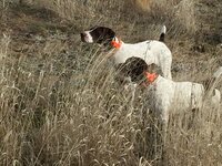 IMG_0854.jpeg