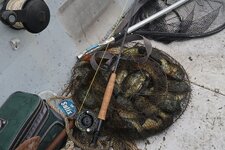 IMG_6721[1].jpg