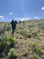 IMG_9615.jpeg