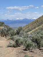 IMG_9622.jpeg