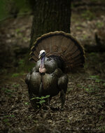 051825-221-Edit.jpg