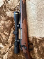 IMG_9862.jpeg