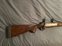 IMG_0135.jpeg