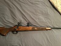 IMG_0136.jpeg