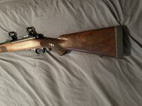 IMG_0137.jpeg