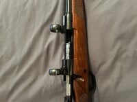 IMG_0140.jpeg
