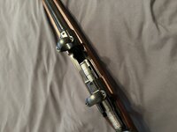 IMG_0139.jpeg