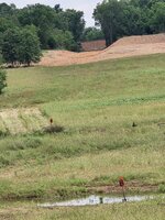 20250612_120057.jpg 20250612_120057.jpg
