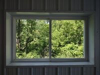 IMG_20250616_112624579.jpg