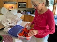 IMG_0074.jpeg