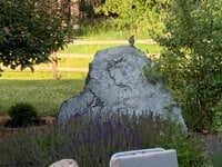 IMG_0075.jpeg