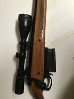 IMG_0656.jpeg