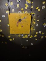 IMG_20250629_220456519.jpg