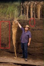 Native Grass Roots.jpg