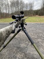 IMG_6535.jpeg