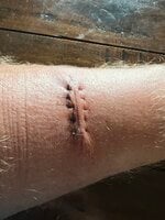 IMG_5865.jpeg