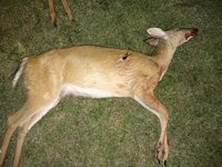 IMG_20230716_224956077.jpg