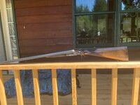 IMG_0079.jpeg