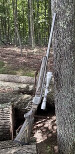 IMG_3518.jpeg