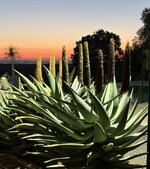 IMG_2163.jpeg