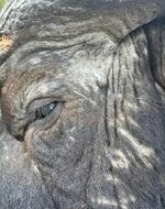IMG_2186.jpeg