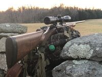 IMG_0435.jpeg