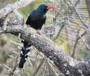 IMG_2491.jpeg